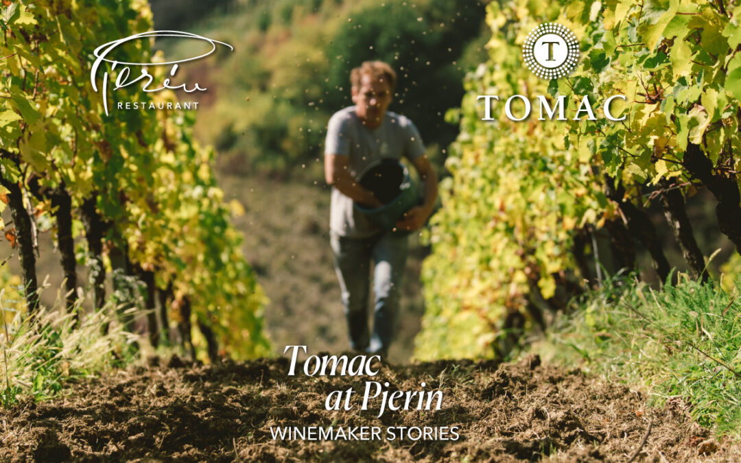 Winemaker Stories: Tomac at Pjerin